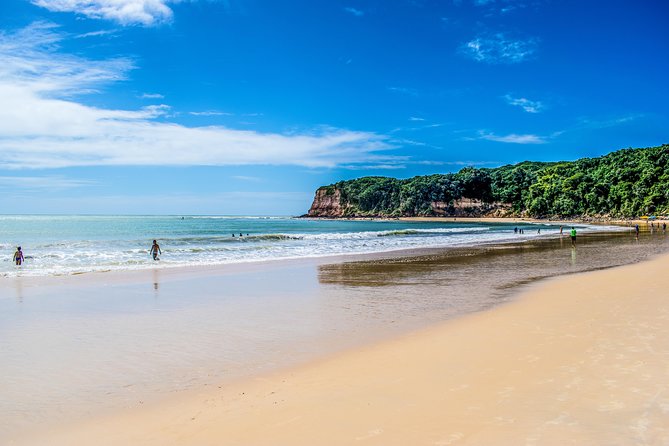 Natal to Pipa Beach Full-Day Tour With Transport and Guide (Mar ) - Key Points