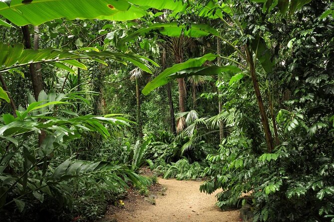 Nature Photography Guided Walks: Cairns (Mar ) - Just The Basics