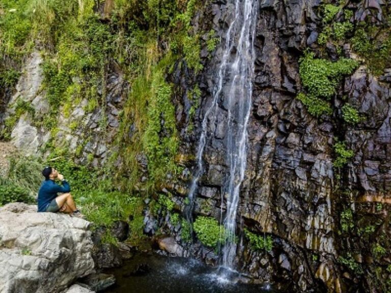 Nature Sanctuary Hiking With Heritage Tour