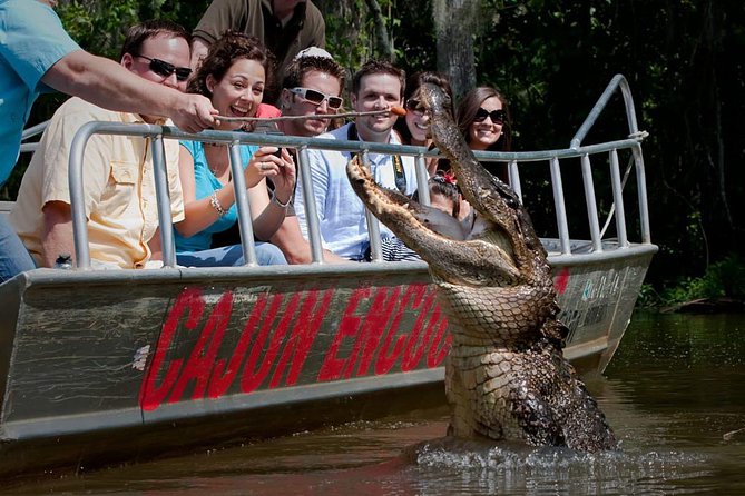 New Orleans Swamp and Bayou Boat Tour With Transportation - Good To Know
