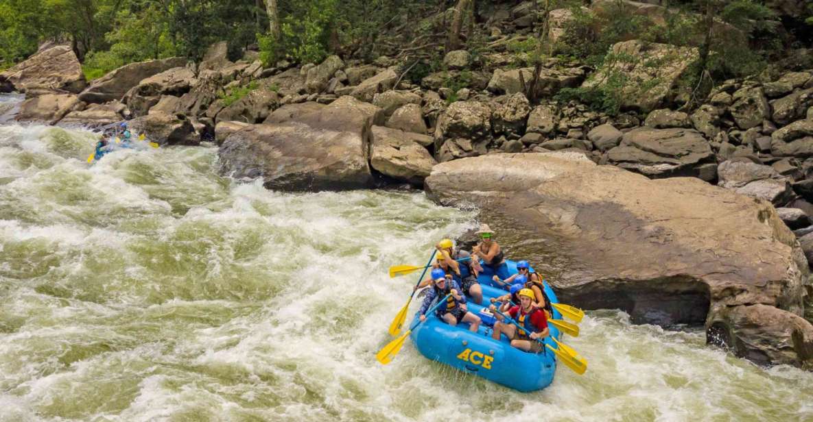 New River Gorge Whitewater Rafting - Lower New Full Day - Key Points