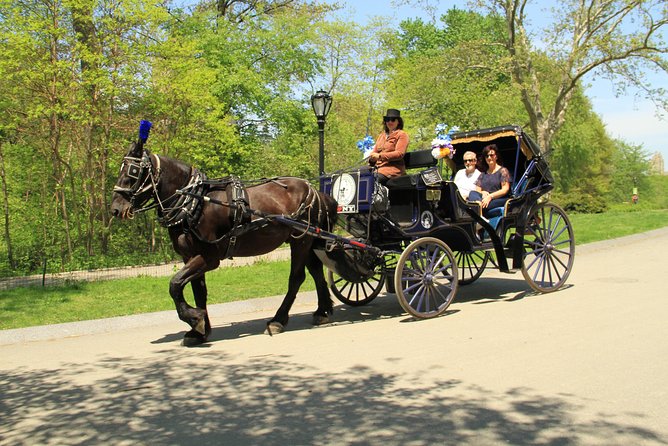 New York City: Central Park Private Horse-and-Carriage Ride (Mar ) - Good To Know