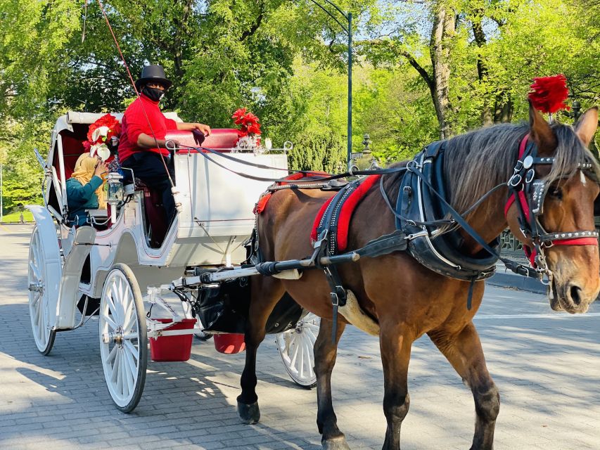 New York City: Central Park Private Horse and Carriage Tour - Key Points