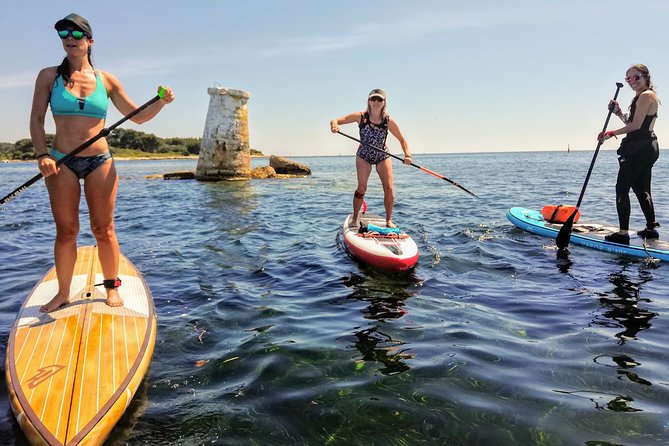 Nice Guided Stand-Up Paddleboard Half-Day Tour (Mar ) - Key Points