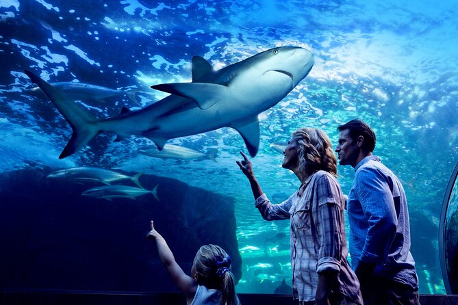 Night at the Aquarium Tour - Key Points