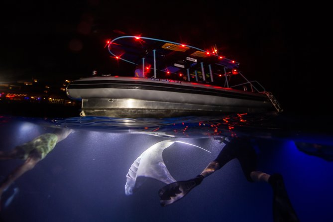 Night Manta Ray Experience - Experience Details