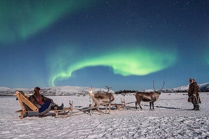 Night Reindeer Sledding With Camp Dinner and Chance of Northern Lights - Key Points