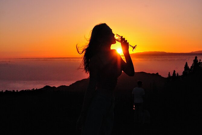 Night Sky Observation Tour With Canarian Dinner, Tenerife (Mar ) - Just The Basics