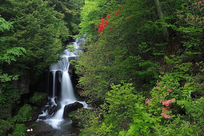 Nikko City Private Day Tour With English Speaking Driver - Key Points