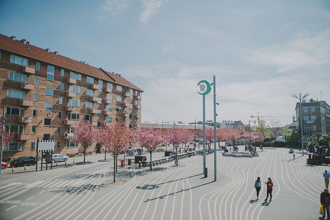 Nørrebro Neighborhood Tour - Key Points