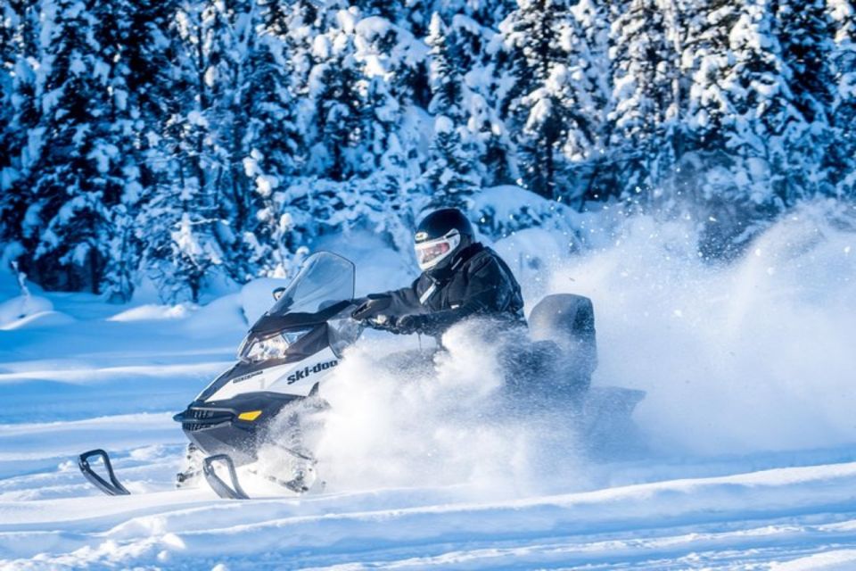 North Pole Alaska: Guided Fairbanks Snowmobile Tour - Key Points