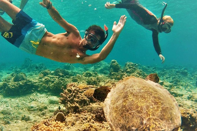 North Shore Circle Island Adventure Including Snorkeling With the Turtles - Tour Highlights and Inclusions