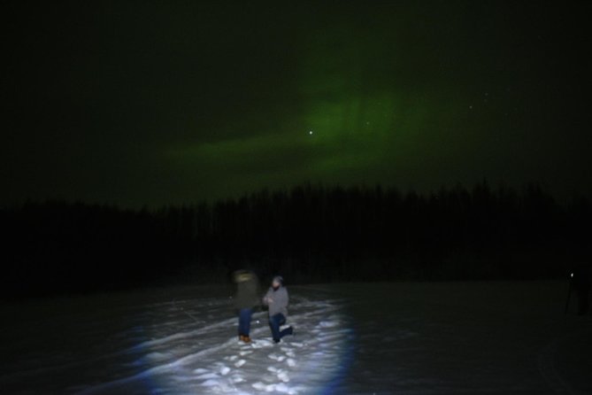 Northern Lights and Chena Hot Springs Tour From Fairbanks - Just The Basics