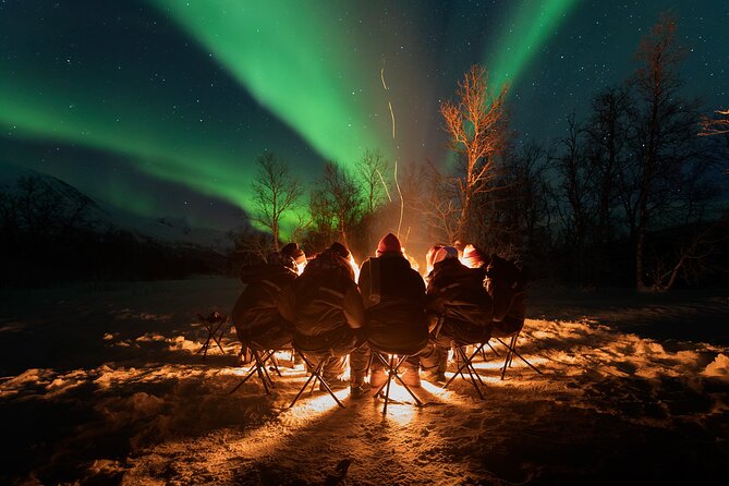 Northern Lights by Minibus. Photos Under the Lights Included. Tromso - Key Points