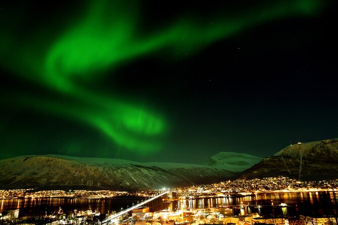 Northern Lights Chase by Bus in Tromso - Tour Overview
