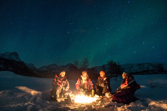 Northern Lights Tour With Alta Adventure - Key Points