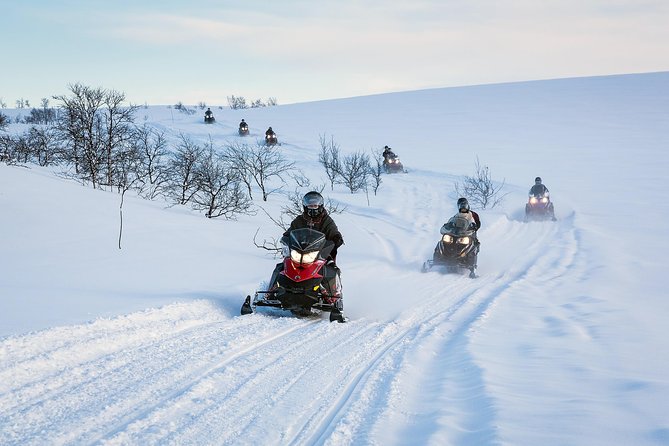 Norway: Finnmarksvidda Small-Group Half-Day Snowmobile Tour  - Alta - Key Points