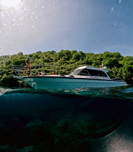 Nusa Penida: Snorkeling in 4 Spots (Manta Rays) Land Tour - Key Points