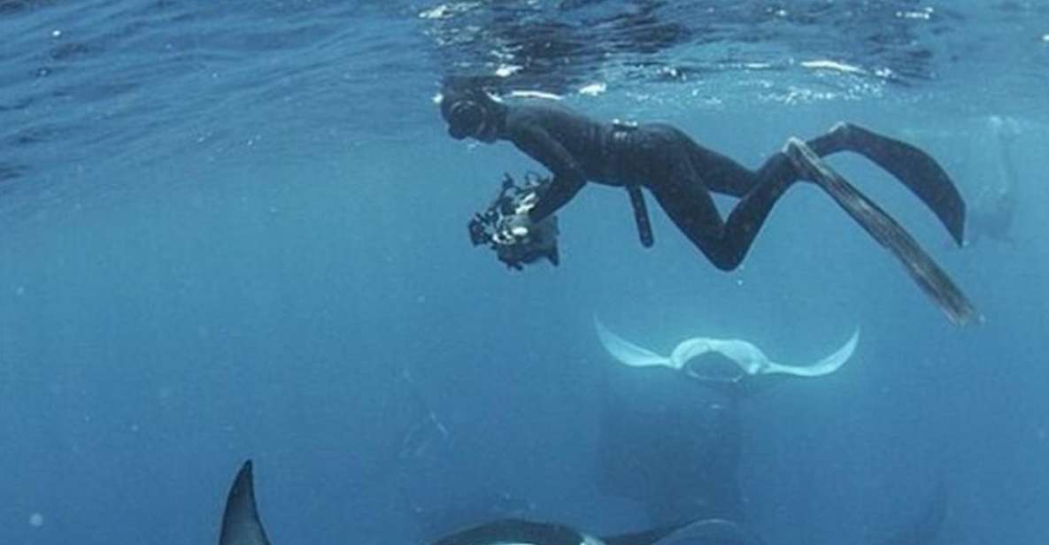 Nusa Penida: Unforgettable Snorkeling Adventure With 4 Spots - Key Points