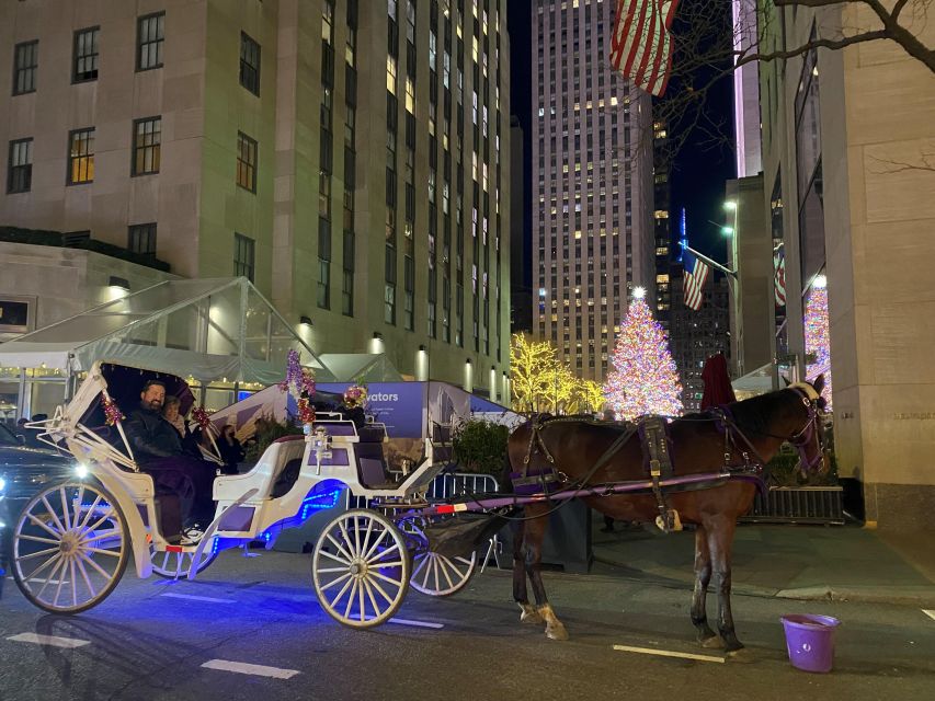 NYC: Guided Central Park Horse Carriage Ride - Key Points