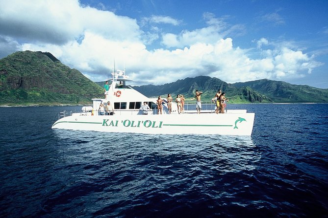 Oahu Catamaran Cruise: Wildlife, Snorkeling and a Hawaiian Meal - Tour Overview