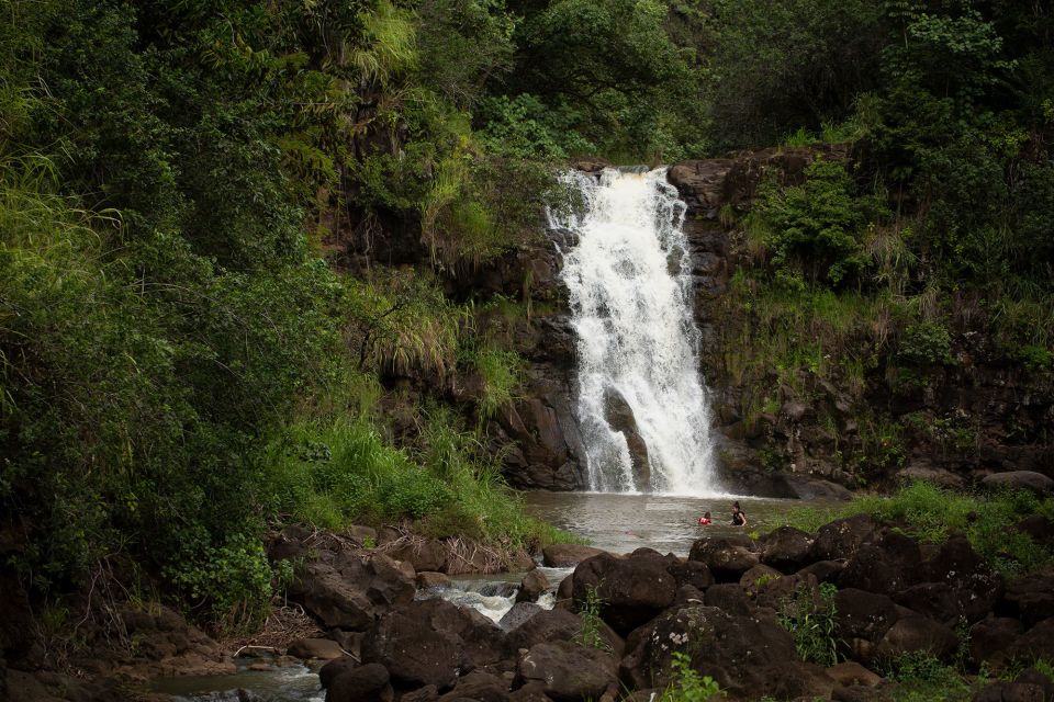Oahu: North Shore Waterfall Swim - Key Points