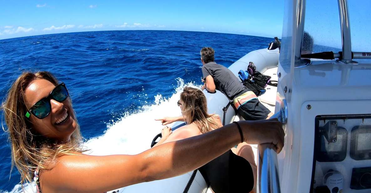 Oahu: Private Whale Watching Adventure - Key Points