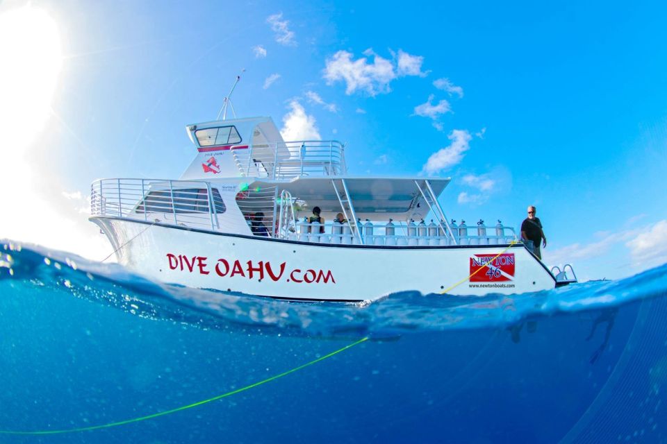 Oahu: Wreck & Reef Scuba Dive for Certified Divers - Key Points