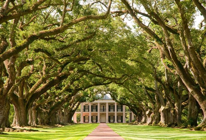 Oak Alley Plantation and Large Airboat Swamp Tour From New Orleans - Just The Basics