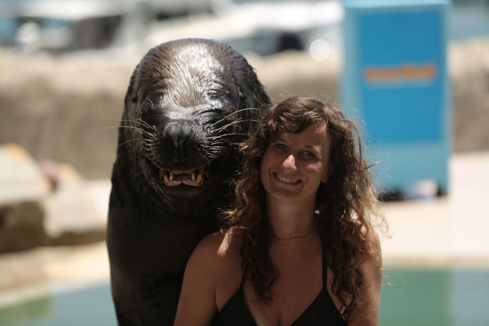 Ocean World Dolphin Swim & Sea Lion Combo From Puerto Plata - Just The Basics