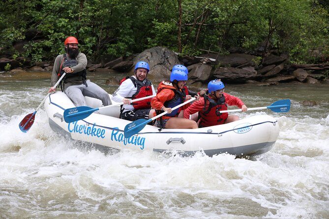 Ocoee River Middle Whitewater Rafting Trip (Most Popular Tour) - Just The Basics