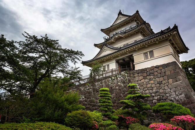 Odawara Castle and Town Guided Discovery Tour - Key Points