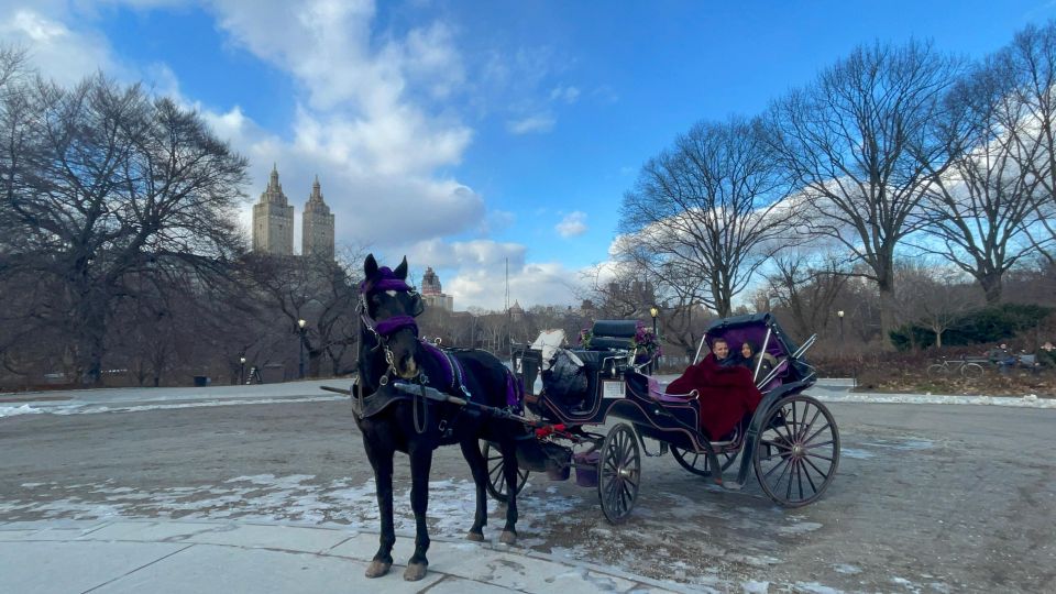 Official VIP Whole Central Park Horse Carriage Tour - Key Points