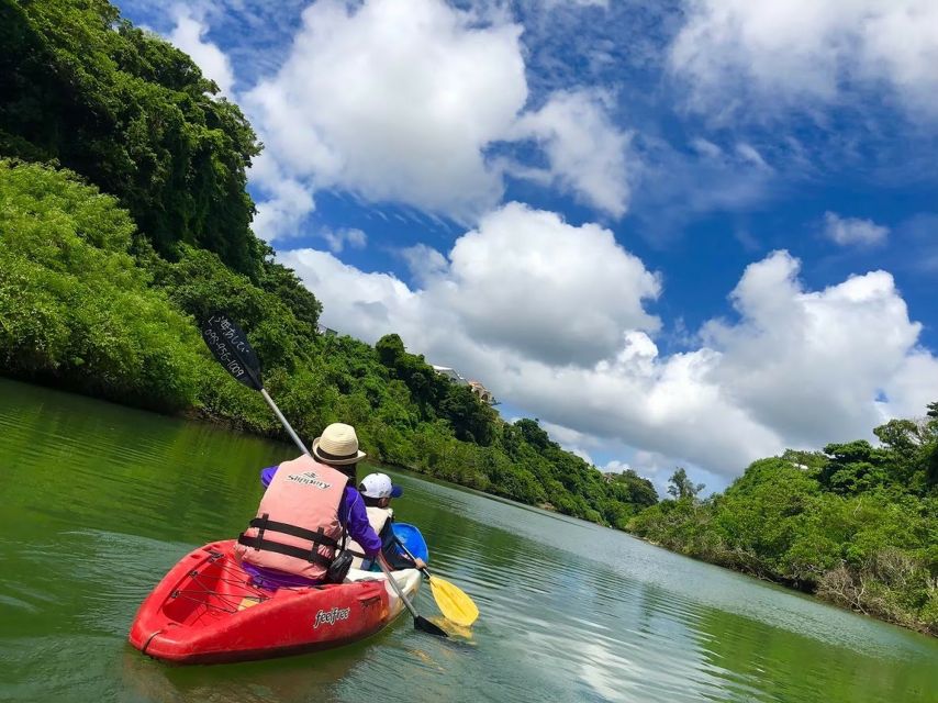 Okinawa: Mangrove Kayaking Tour - Just The Basics