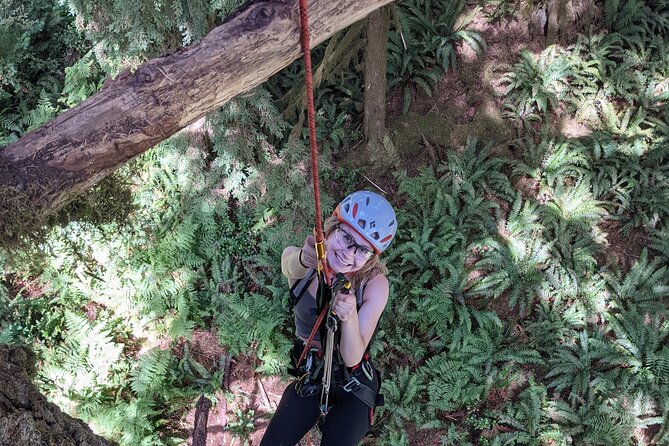 Old-Growth Tree Climbing at Silver Falls State Park - Experience Details