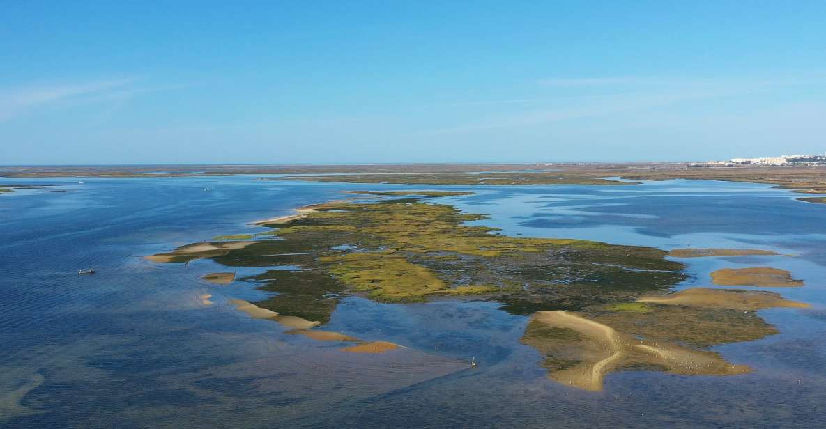 Olhão: Ria Formosa Boat Cruise to Armona and Culatra - Key Points