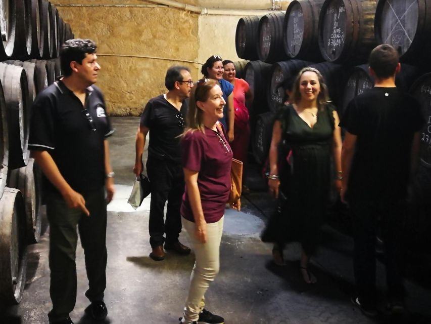 Olive Oil, Salt Flats and Winery in Full Day Private Tour - Key Points