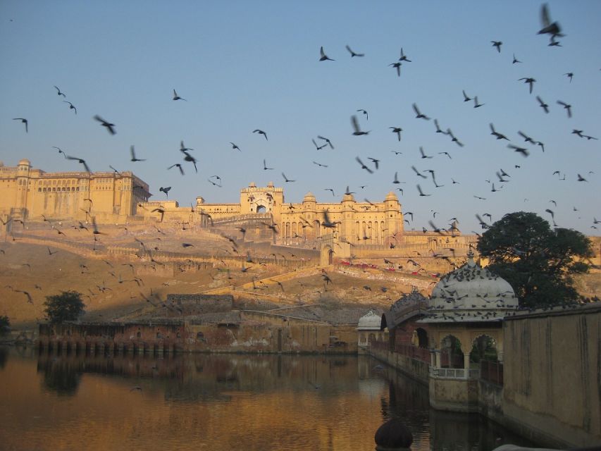 One Day Amer Fort & Jaipur City Tour From Delhi By Car - Key Points