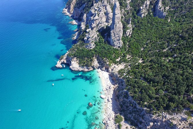 One Day Guided Boat Tour Along the Baunei Coast - Just The Basics