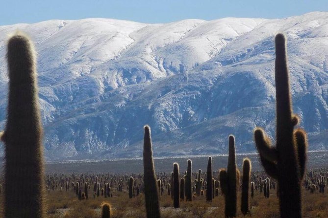 One Day Tour of Cachi and Calchaquí Valleys From Salta - Tour Overview