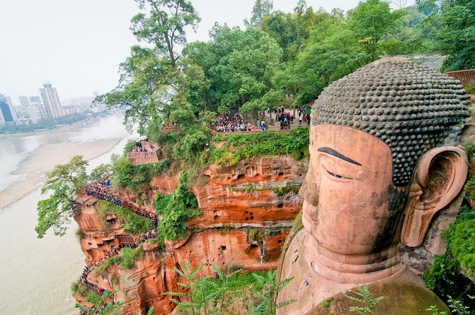 One Day Trip to Chengdu Panda Base and Leshan Buddha Tour - Key Points