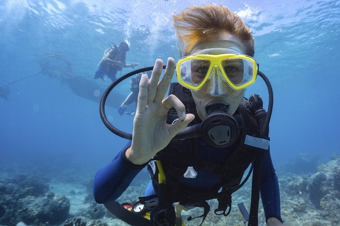 Open Water Diver Course Underwater Photo Shooting - Key Points
