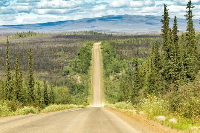 Original Arctic Circle Drive From Fairbanks - Just The Basics