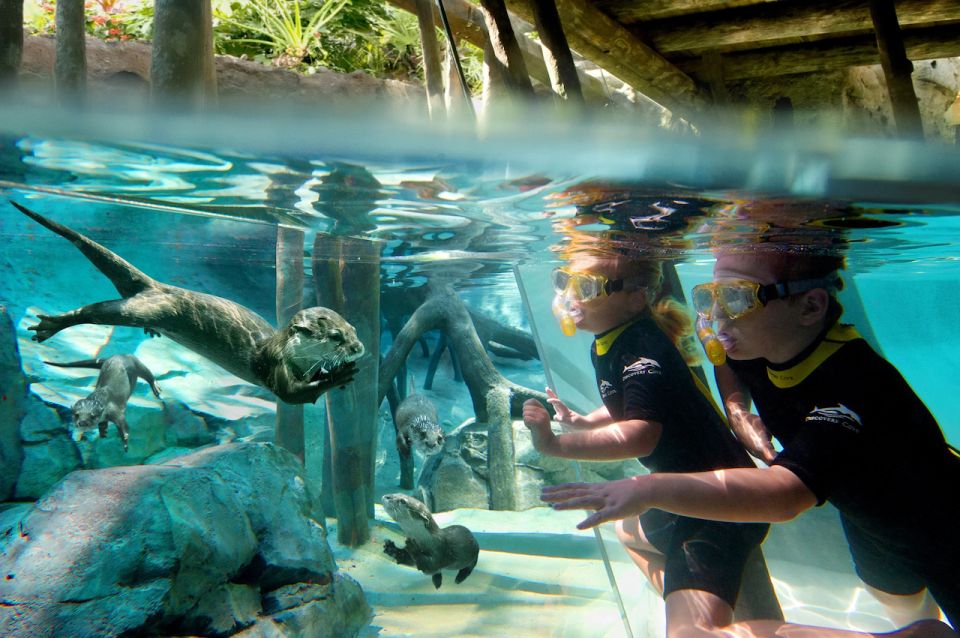 Orlando: Discovery Cove Admission Ticket & Additional Parks - Key Points