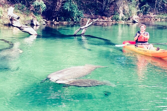 Orlando Manatee and Natural Spring Adventure Tour at Blue Springs - Key Points
