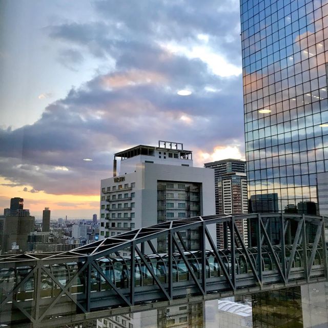 Osaka: Umeda Sky Building E-Ticket - Just The Basics