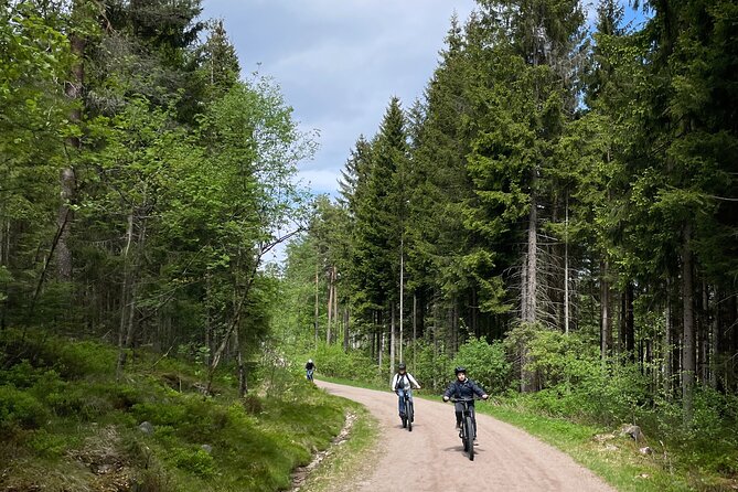 Oslo Private E-Mountain Biking Nature Tour (Mar ) - Tour Inclusions