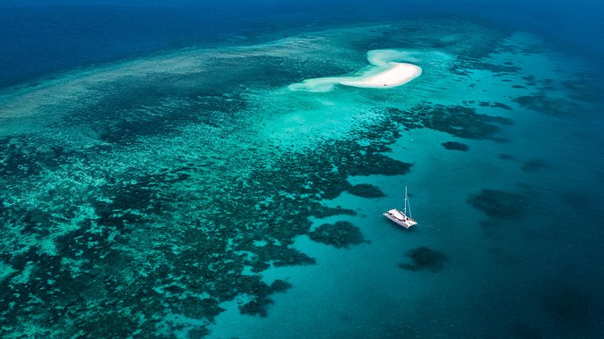 Outer Barrier Reef Sailing and Snorkeling Adventure From Port Douglas - Just The Basics