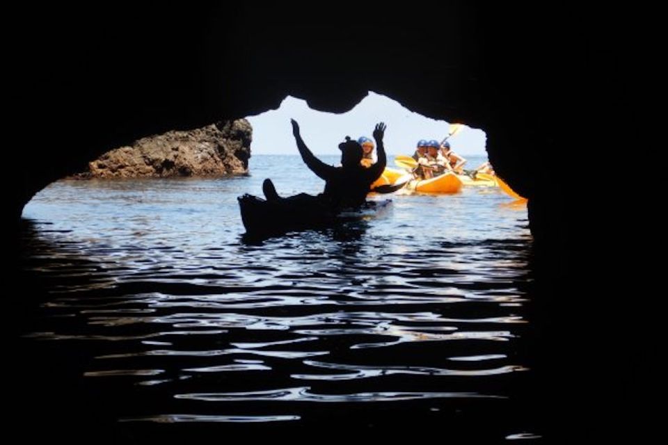 Oxnard: Anacapa Island Sea Cave Kayaking Day Tour - Key Points