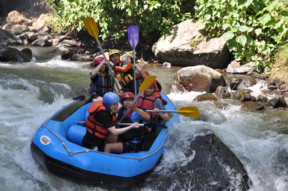 Pa Tong: Rainforest Day Trip With Cave, Rafting, ATV & Lunch - Key Points